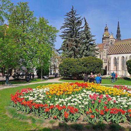 Lux 114 Apartment Кошице Екстер'єр фото